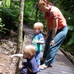 Daintree Daydreaming…